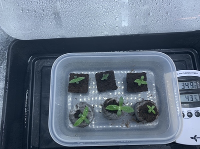 Growreport Bild 23