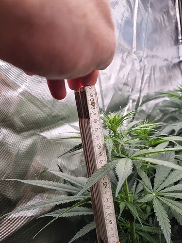 Growreport Bild 22