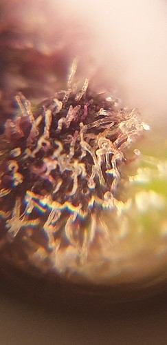 Growreport Bild 12
