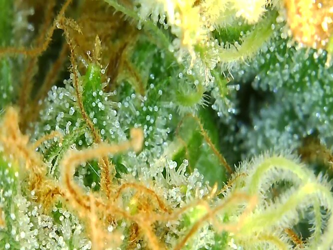 Growreport Bild 18