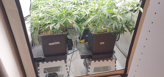 Growreport Bild 11