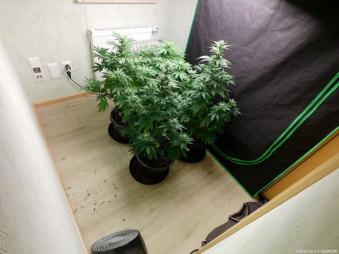 Growreport Bild 26