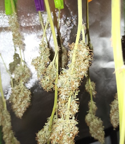 IMG_20210708_142622 (2) - Kopie