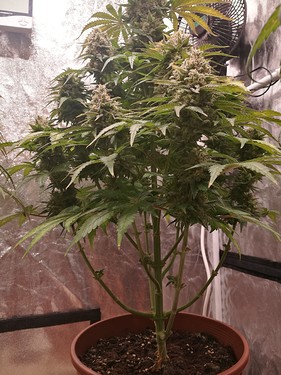 Growreport Bild 26