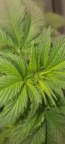 Growreport Bild 9