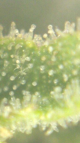 Growreport Bild 18