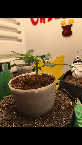 Growreport Bild 6