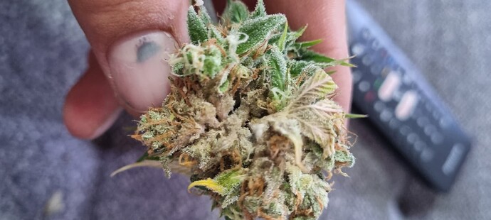 Growreport Bild 11
