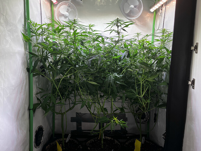 Growreport Bild 2