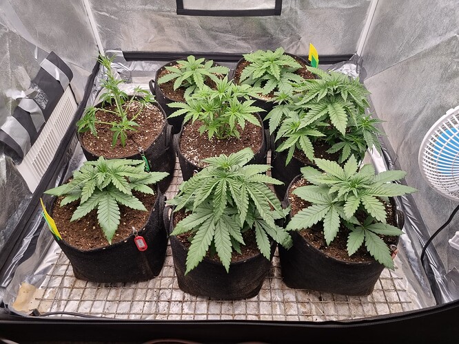Growreport Bild 24