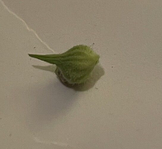 Growreport Bild 11
