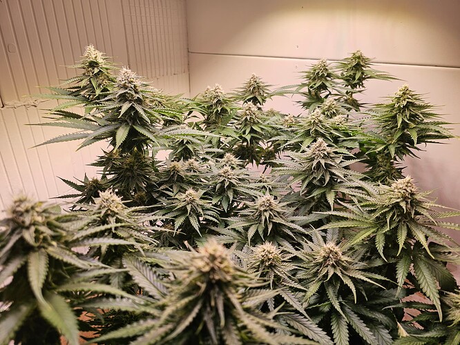 Growreport Bild 16