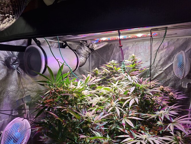 Growreport Bild 49