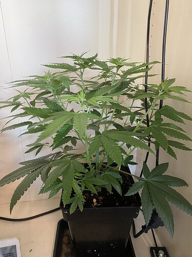 Growreport Bild 9