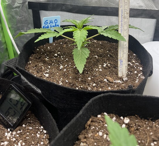 Growreport Bild 18