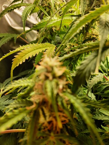 Growreport Bild 10