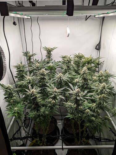 Growreport Bild 9