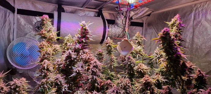 Growreport Bild 9