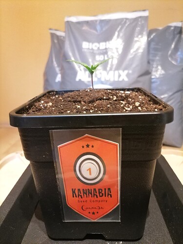 Growreport Bild 7
