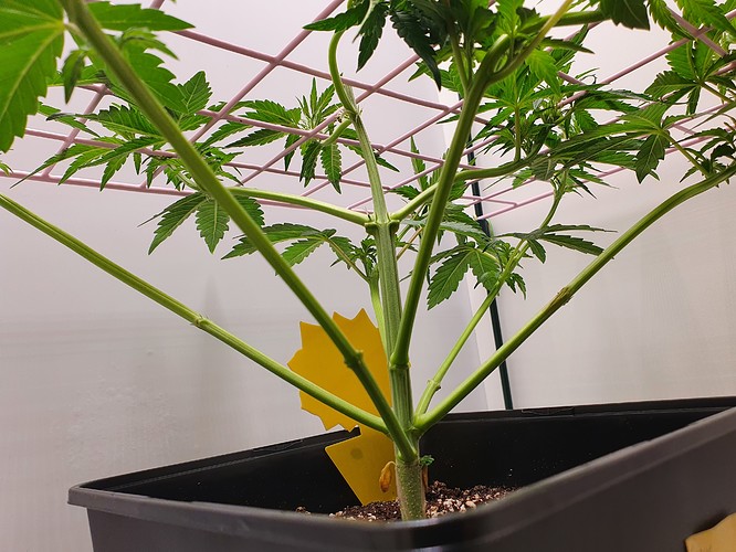 Growreport Bild 5