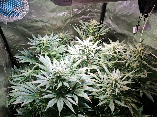 Growreport Bild 15