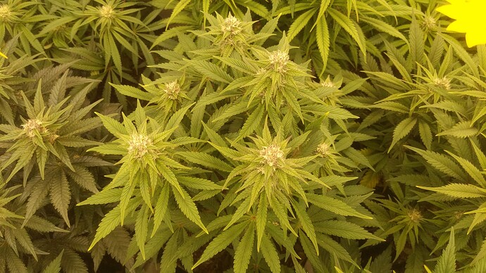 2IMG_20240102_105342_419