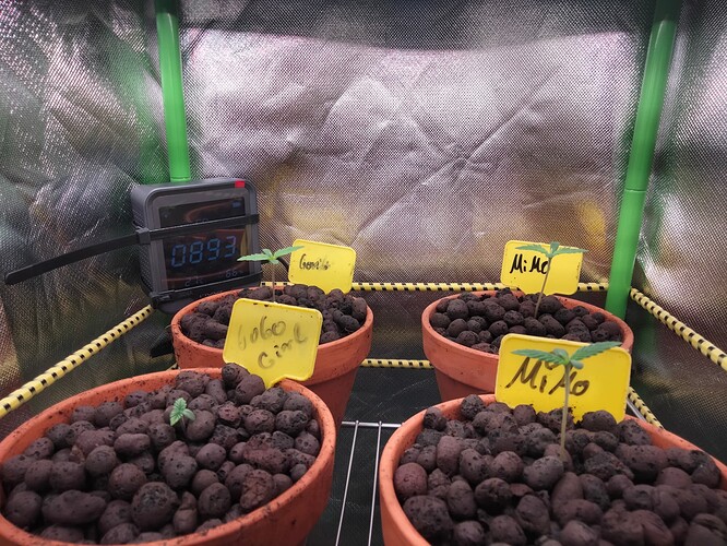 Growreport Bild 11