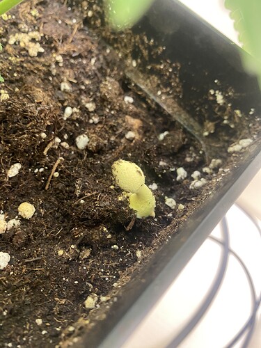 Growreport Bild 14