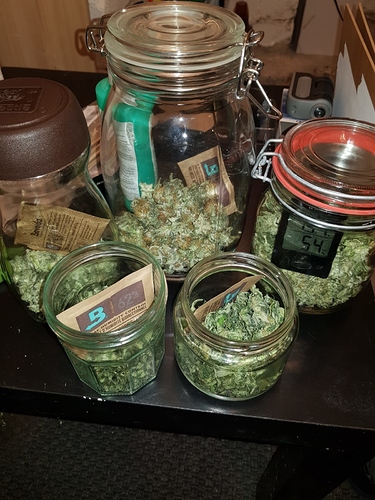 Growreport Bild 3