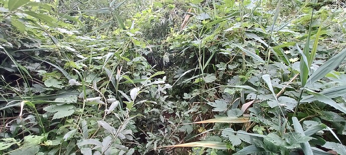 Growreport Bild 24