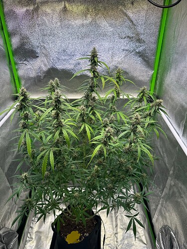 Growreport Bild 10