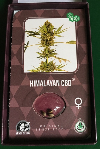 Growreport Bild 6