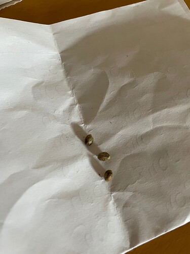 Growreport Bild 3