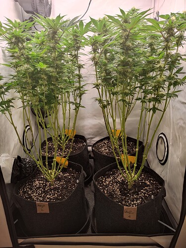 Growreport Bild 2