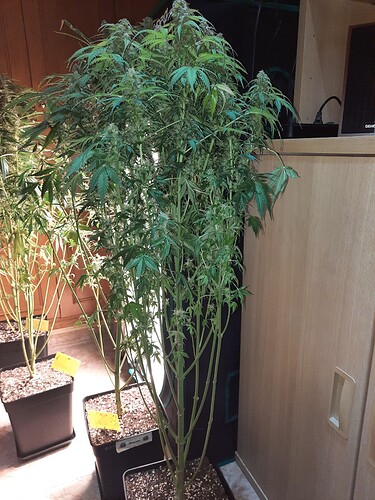 Growreport Bild 8
