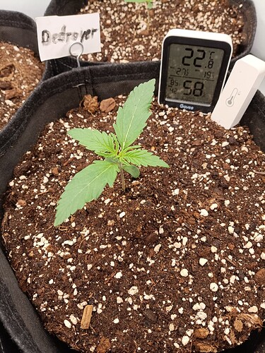 Growreport Bild 3