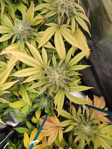 Growreport Bild 12