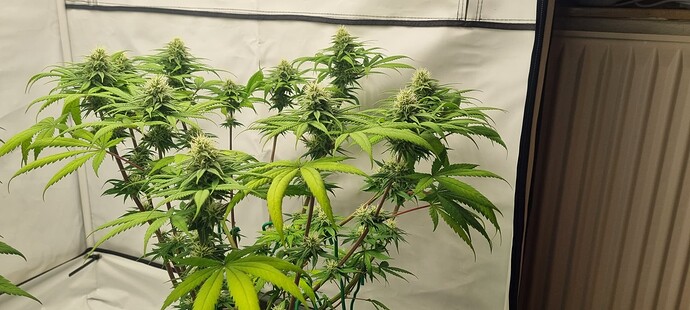 Growreport Bild 2
