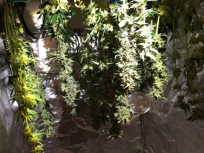 Growreport Bild 6