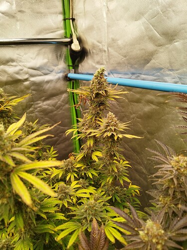 Growreport Bild 4