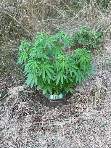 Growreport Bild 9