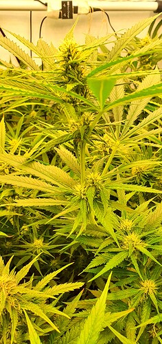 Growreport Bild 14