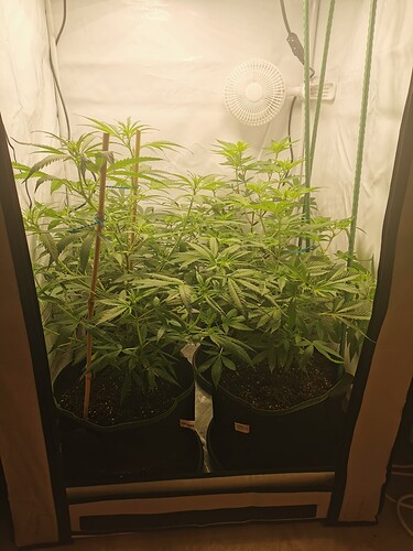 Growreport Bild 10