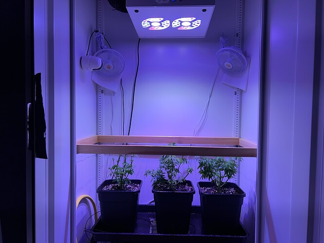 Growreport Bild 6