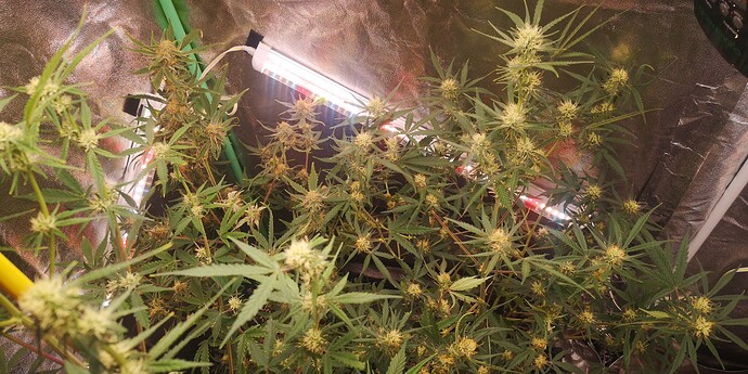 Growreport Bild 11