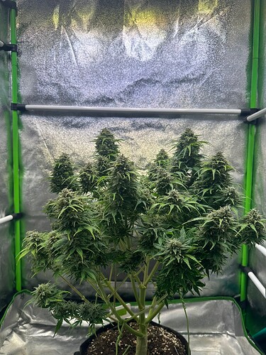 Growreport Bild 21