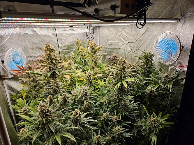 Growreport Bild 27