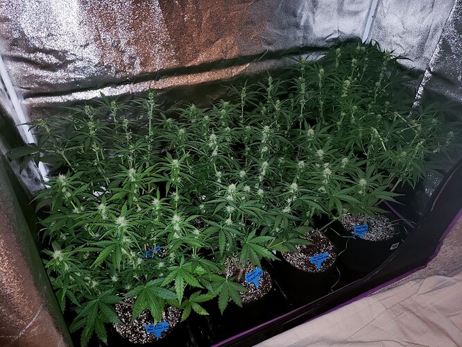 Growreport Bild 15