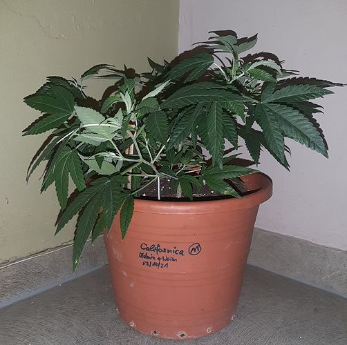 Growreport Bild 14