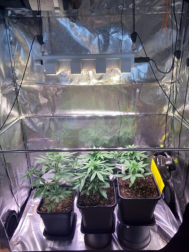 Growreport Bild 8
